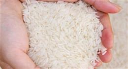 سعر طن الأرز الشعير اليوم السبت 18-10-2025 في الأسواق