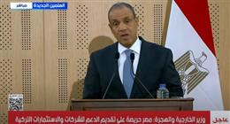 وزير الخارجية: ندعم تسوية سياسية شاملة في سوريا لا تُقصي أحدًا