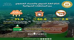 «البيئة» تكشف بالأرقام جهود مصر في إنتاج الغاز الحيوي من المخلفات الحيوانية