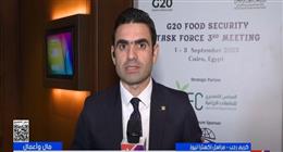 البحث عن مخرج.. أزمة الأمن الغذائي على طاولة قمة العشرين بالقاهرة