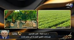 نقيب الزراعيين: حققنا الاكتفاء الذاتي من السكر.. وليس لدينا أزمة في أي سلعة