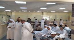 بدء تسليم تصاريح صيد الطيور المهاجرة في مرسى مطروح 