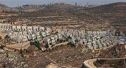 الخارجية الهولندية: حظر استيراد سلع  المستوطنات الإسرائيلية في فلسطين المحتلة