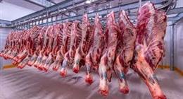«الزراعة» تكشف عدد المستفيدين من مشروع البتلو  