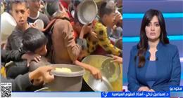 أستاذ علوم سياسية: فيتو أمريكا ضد وقف إطلاق النار في غزة يعرقل الحلول الدبلوماسية