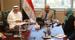 تعاون «مصري - إماراتي» في مجالات الطاقة المتجددة وتخزين الطاقة