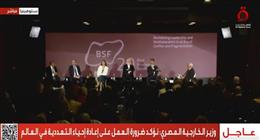 وزير الخارجية: الأزمة الأوكرانية تمثل تحديا أمنيا للشرق الأوسط وأفريقيا