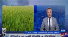 «الزراعة»: ضخ 18 مليون شيكارة أسمدة تغطي 80% من احتياجات الموسم الصيفي