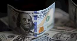 سعر الدولار أمام الجنيه في التعاملات المسائية بالبنوك اليوم الأحد 21-9-2025