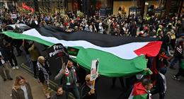يزرعون «أغصان الزيتون».. تفاصيل اعتراف بريطانيا وكندا وأستراليا بدولة فلسطين