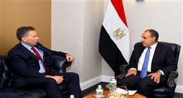 وزير الخارجية يؤكد حرص مصر على استئناف جهود الوساطة لوقف إطلاق النار في غزة