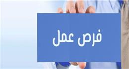 «تنمية الأسرة» تعلن وظيفة شاغرة في المؤسسة.. اعرف الشروط والأوراق المطلوبة