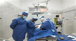 جراحة دقيقة.. فريق طبي بالشرقية ينقذ طفلا سقط من علو وأصيب بتمزق في الطحال