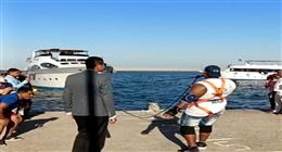 كابونجا يحطم رقما قياسيا بسحب سفينة بأسنانه في الغردقة.. «السياح صفقوا له»