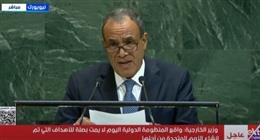 وزير الخارجية: إثيوبيا خالفت القانون الدولي وتوهمت أن مصر ستنسى حقوقها