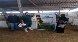 «الطب البيطري» بمطروح: التأمين على 22 رأس ماشية في قرية الشولحي