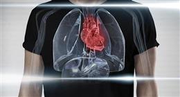 أخصائي: أمراض القلب السبب الأول للوفيات والحل في «الوقاية المبكرة» 