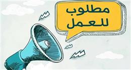 «العمل» تعلن عن 4007 وظائف في 8 محافظات.. بينها فرص لذوي الهمم
