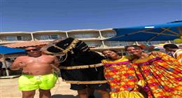 مصريون وأجانب.. نزلاء فنادق الغردقة يحتفلون بذكرى المولد النبوي
