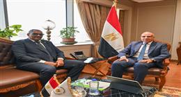 وزير الري المصري يبحث مع نظيره السوداني سبل التعاون في ملف مياه النيل 