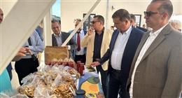 وزيرا الزراعة والشؤون النيابية يتفقدان أحد النماذج التعاونية المنتجة بإيطاليا