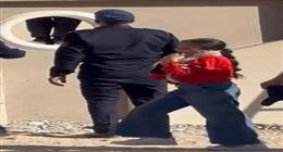 الأجهزة الأمنية تنقذ قطة محتجزة داخل عقار بالمنيا 