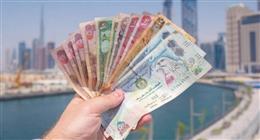 سعر الدرهم الإماراتي اليوم الجمعة 5-9-2025 مقابل الجنيه المصري