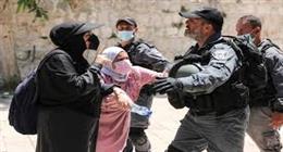 حزب الجيل: الموقف المصري تجاه غزة واضح.. وتهجير الفلسطينيين غير مقبول