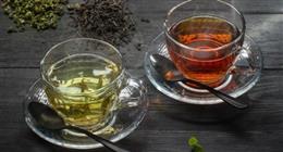 الشاي الأخضر  أم الأسود.. أيهما يمنحك الصحة والطاقة؟