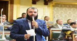 أحمد خليل خير الله رئيسا للهيئة البرلمانية لحزب النور في مجلس النواب