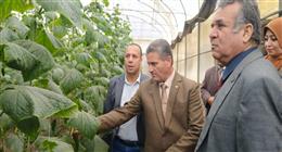 نائب رئيس جامعة بنها يتفقد الوحدات الإنتاجية بكلية الزراعة بمشتهر  