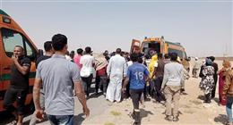 انطلاق شاحنات القافلة رقم 116 تمهيدا لدخولها إلى غزة عبر معبر كرم أبو سالم