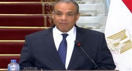 وزير الخارجية: تعاون مستمر بين مصر ودول حوض النيل وفقا للقانون الدولي