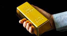 الذهب يواصل الارتفاع ويتجاوز 5000 دولار عالميًا.. مكاسب خرافية للجرام خلال أسبوع
