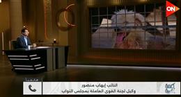 إيهاب منصور لـ أحمد سالم: نعاني من نقص الأطباء البيطريين لمكافحة الكلاب الضالة