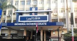 3 خطوات حاسمة.. البحيرة تطلق خطة شاملة لمواجهة الكلاب الضالة