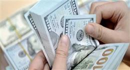 آخر تحديث في سعر الدولار بالبنوك المصرية اليوم الأربعاء 21-1-2026 مقابل الجنيه