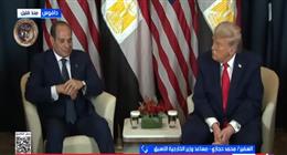 مساعد وزير الخارجية الأسبق: ملف السد الإثيوبي محور مهم في لقاء الرئيس السيسي وترامب