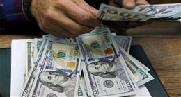 سعر الدولار في البنوك المصرية اليوم الجمعة 23-1-2026
