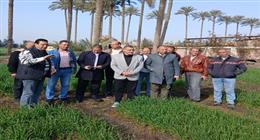 وفد من وزارة الزراعة يتفقد البرامج البحثية وحقول التقاوي بالبحيرة 