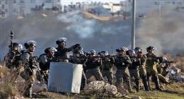 باحث سياسي: التصريحات لا تصنع سلاما في فلسطين.. والحل يكمن في إنهاء الاحتلال الإسرائيلي