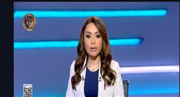 كاتب صحفي: الشرطة المصرية الحصن الحصين للأمن الداخلي (فيديو) 