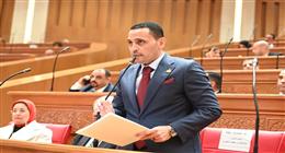 عضو بـ«النواب» يطالب بمراجعة رسوم الهواتف مراعاة لأوضاع المصريين بالخارج