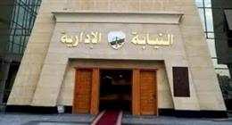 النيابة الإدارية تستقبل خريجي جامعات دمياط وبورسعيد والأزهر لسحب ملفات «معاون»