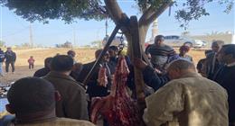 ضبط 3 أطنان لحوم غير صالحة للاستهلاك ضمن حملة رقابية في المنيا