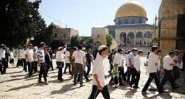 مستشار محافظ القدس: اعتداءات المستوطنين على التجمعات البدوية ليلا ونهارا