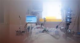 3 فئات أكثر عرضه للإصابة بفيروس نيباه.. هل يغزوا العالم؟