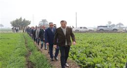 وزير الزراعة ومحافظ الفيوم يتفقدان زراعات القمح في مركز إطسا