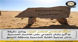 «الوزراء» يكشف حقيقة التعدي على الأشجار المتحجرة داخل محمية في التجمع| عاجل