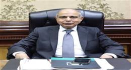 وزير الإسكان يتابع مستجدات المشروعات القومية في المنيا وملوي الجديدة